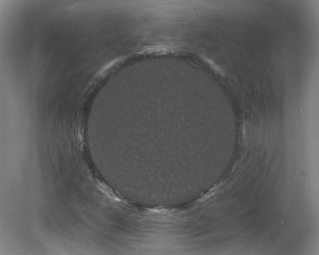 X0000082941206200702011257