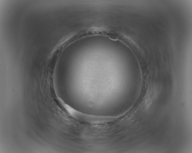 X0000082941207200702011257
