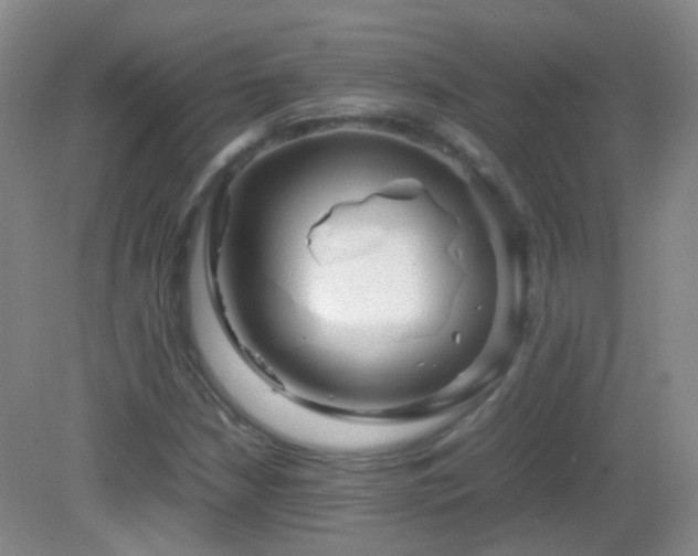 X0000082941210200702011257