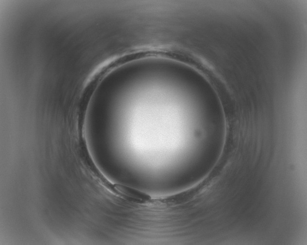 X0000082941214200702011257