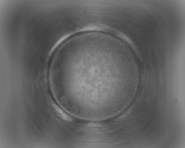 X0000082941216200702011257