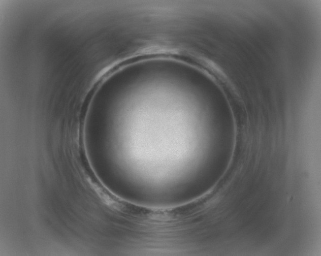 X0000082941220200702011257