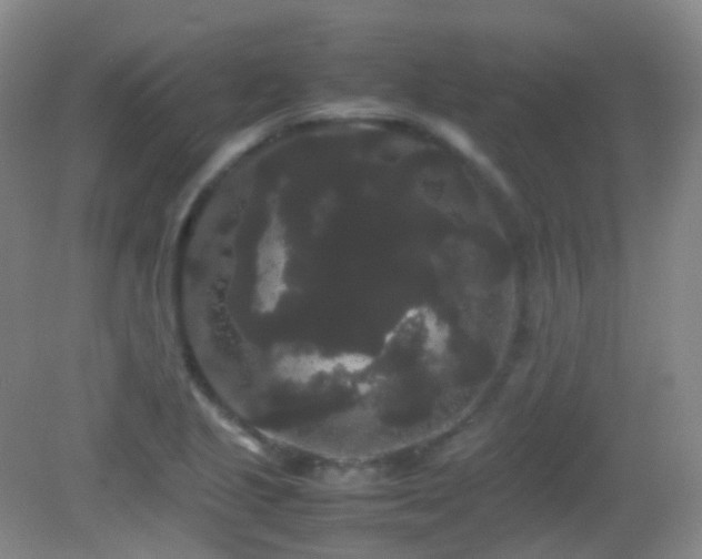 X0000082941221200702011257