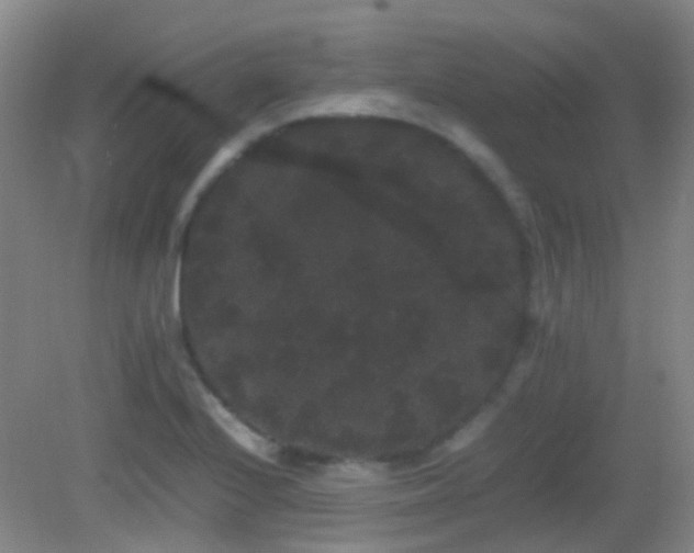 X0000082941224200702011257