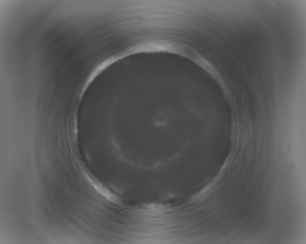 X0000082941226200702011257