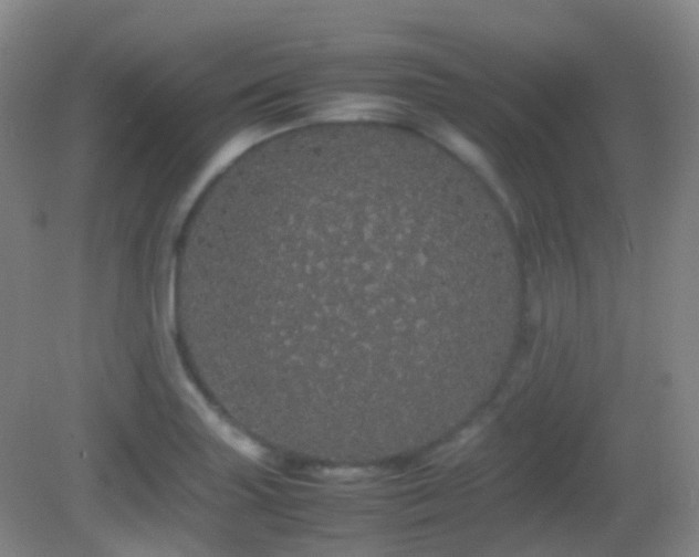 X0000082941227200702011257