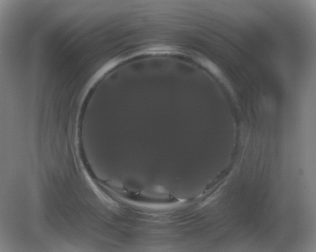 X0000082941229200702011257