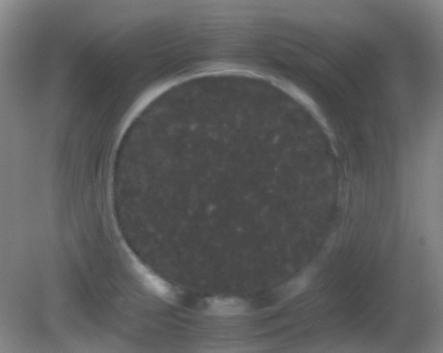 X0000082941231200702011257