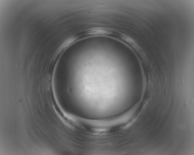 X0000082941233200702011257