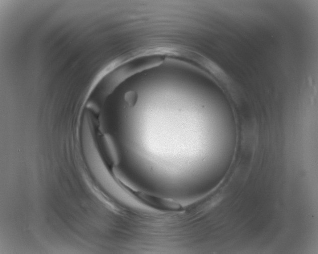 X0000082941234200702011257