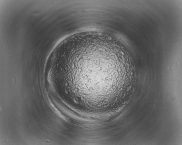 X0000082941236200702011257