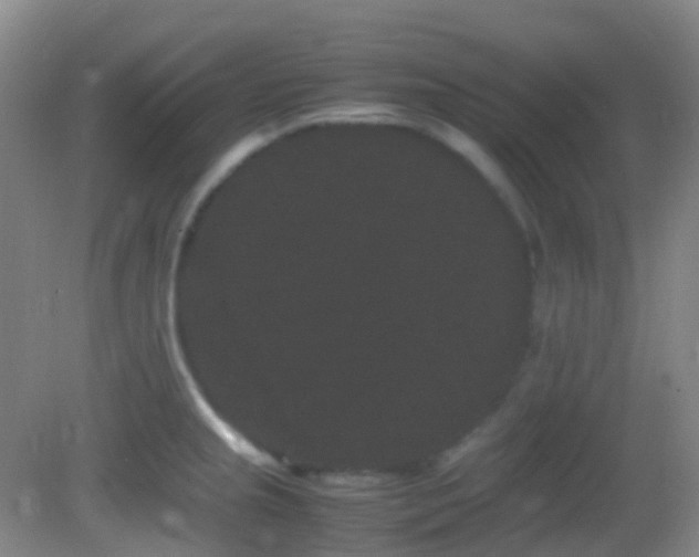 X0000082941237200702011257