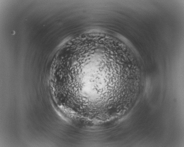 X0000082941241200702011257