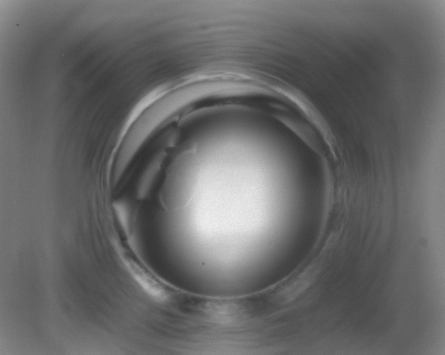 X0000082941242200702011257
