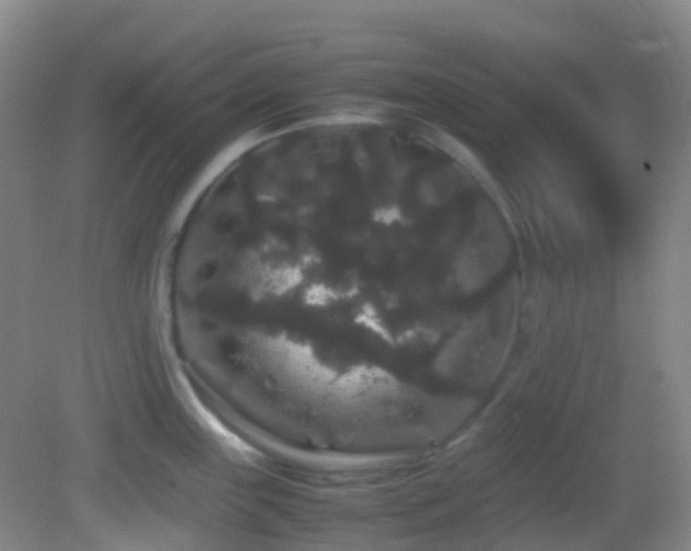 X0000082941243200702011257