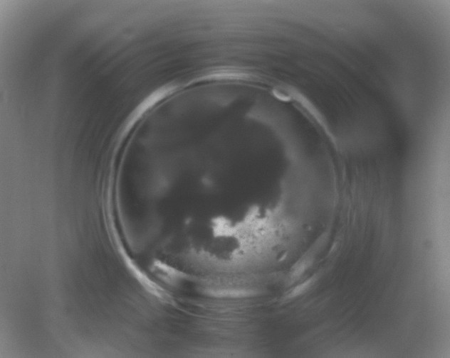 X0000082941245200702011257