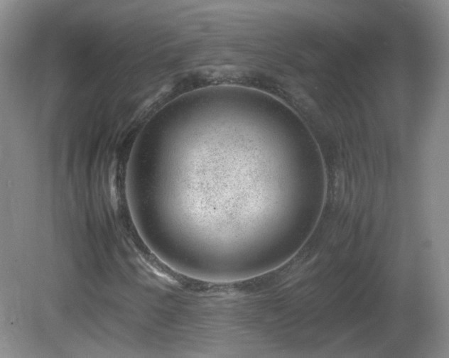 X0000082941250200702011257