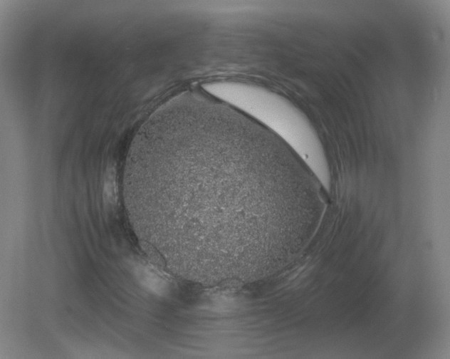 X0000082941252200702011257