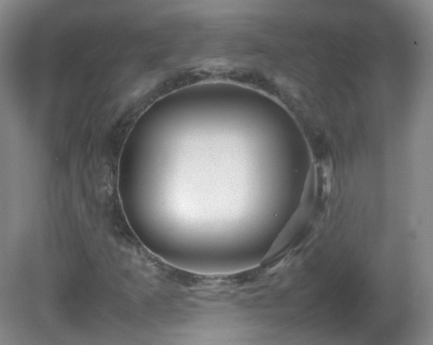 X0000082941253200702011257