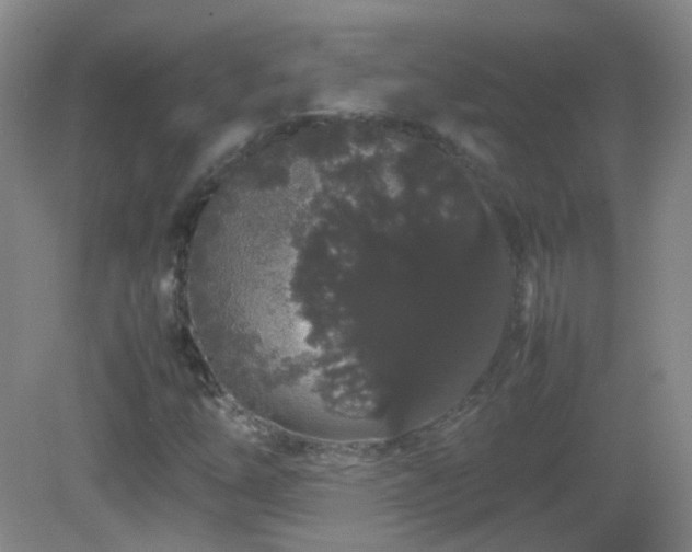 X0000082941254200702011256
