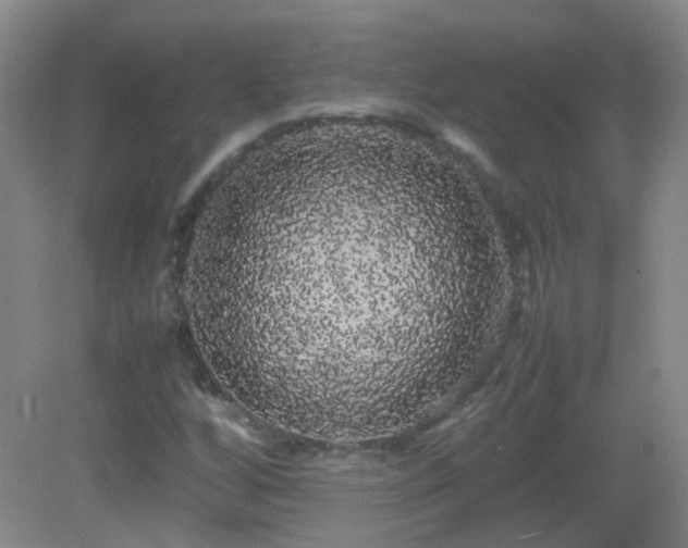 X0000082941256200702011256