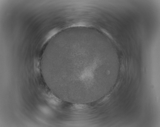 X0000082941258200702011256