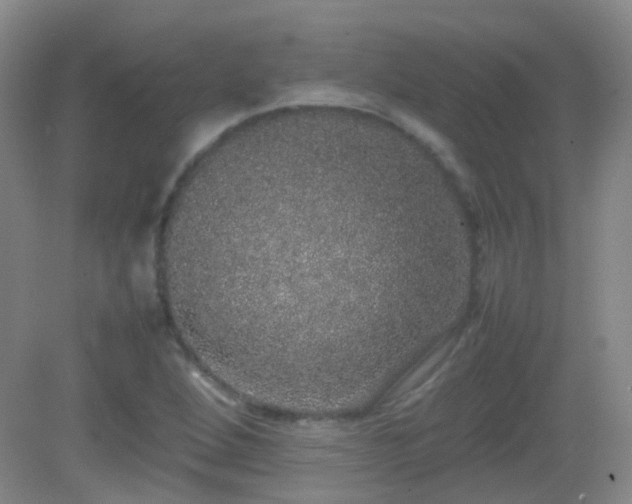 X0000082941264200702011256