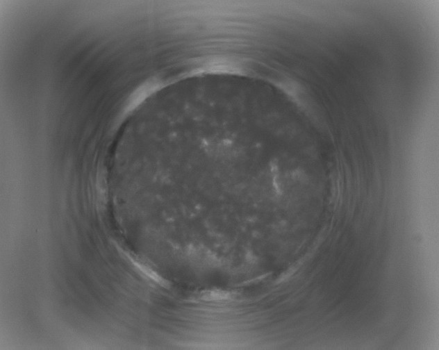 X0000082941266200702011256