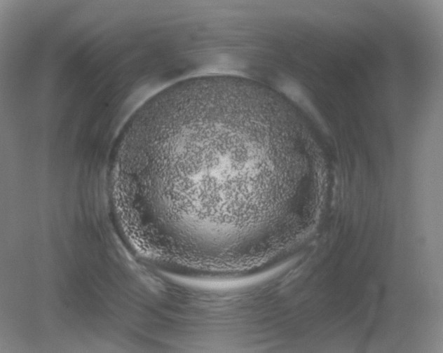 X0000082941268200702011256