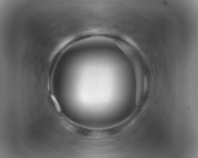 X0000082941269200702011256