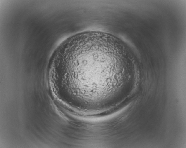 X0000082941272200702011256