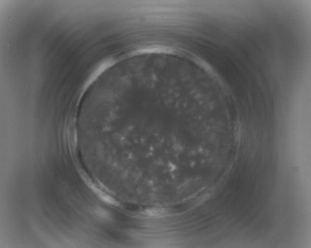 X0000082941274200702011256