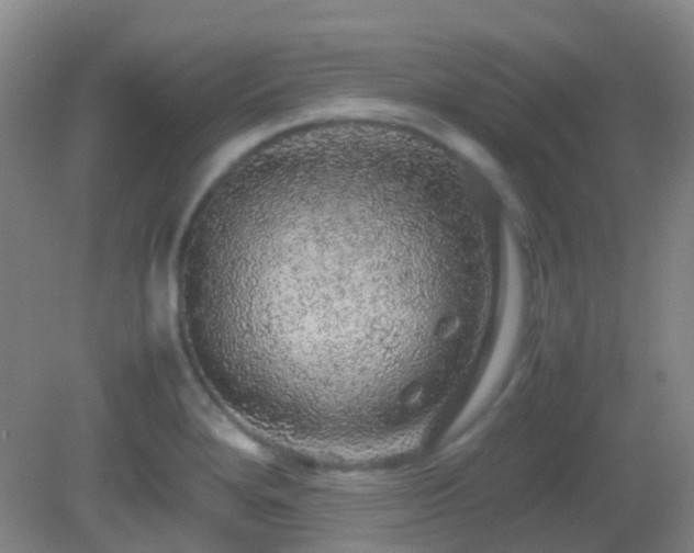 X0000082941280200702011256