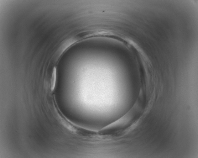 X0000082941281200702011256