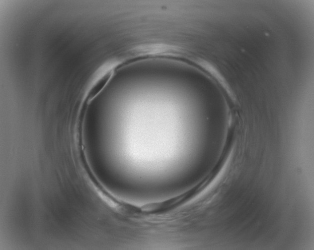 X0000082941285200702011256