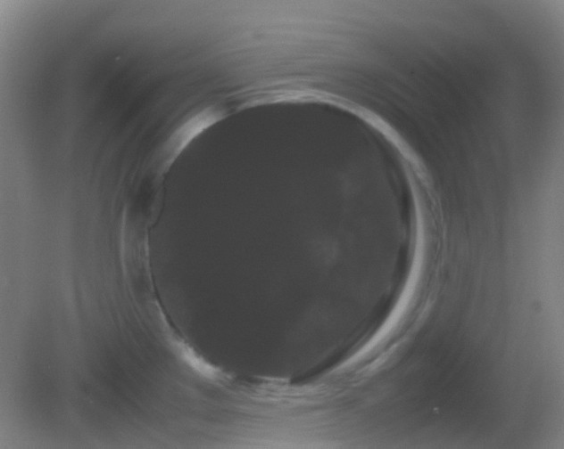 X0000082941289200702011256