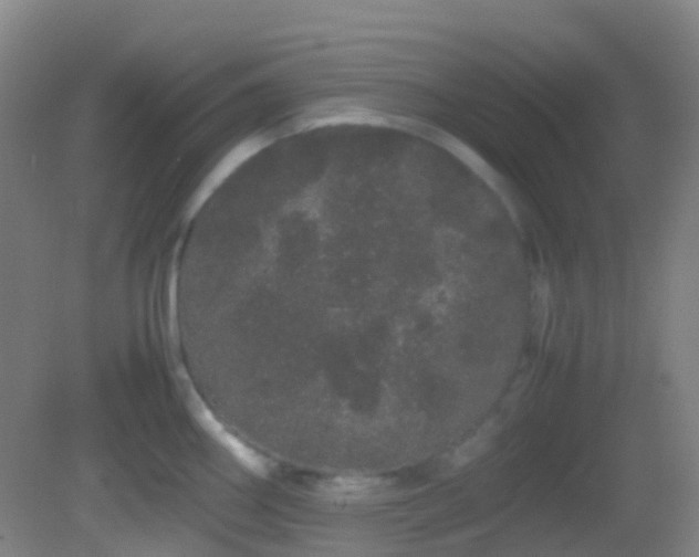 X0000082941290200702011256