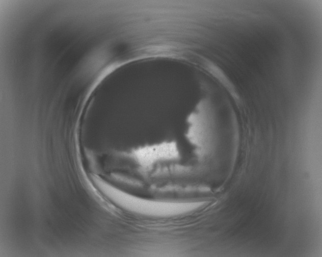X0000082941291200702011256