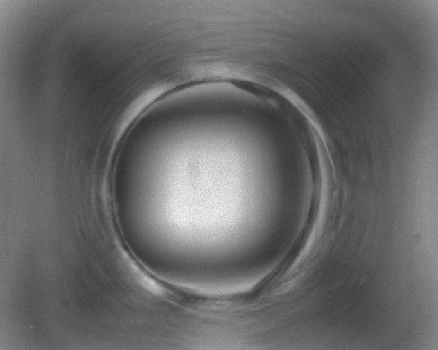 X0000082941293200702011256