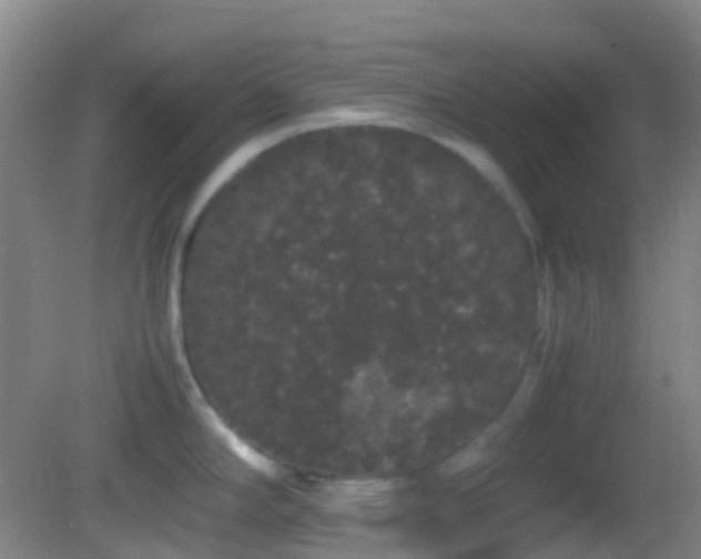 X0000082941294200702011256