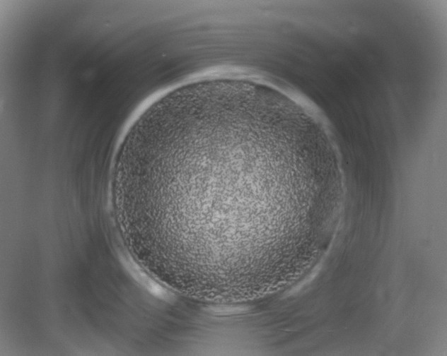 X0000082941296200702011256