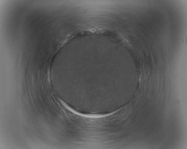 X0000082941298200702011255