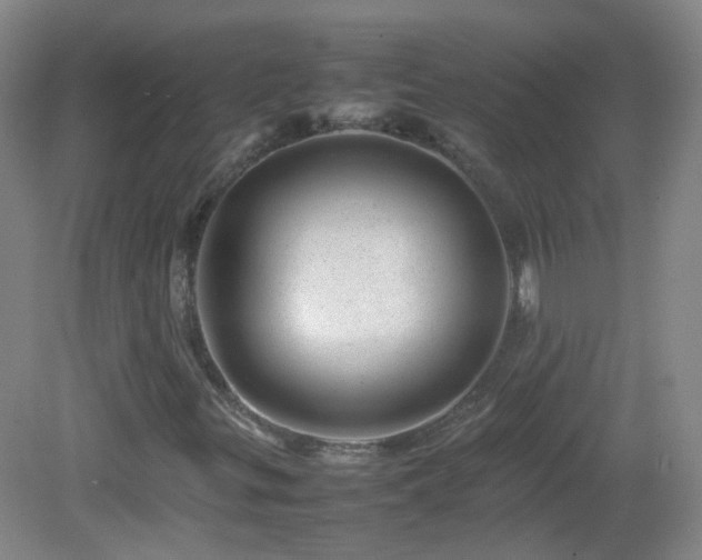 X0000082941299200702011255