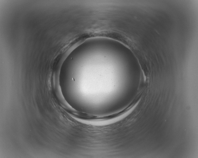 X0000082941300200702011255