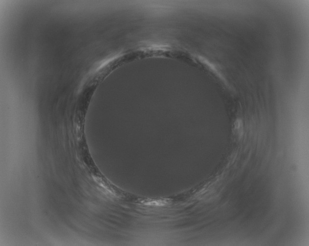 X0000082941303200702011255