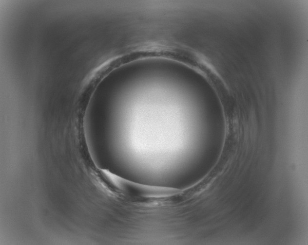 X0000082941304200702011255