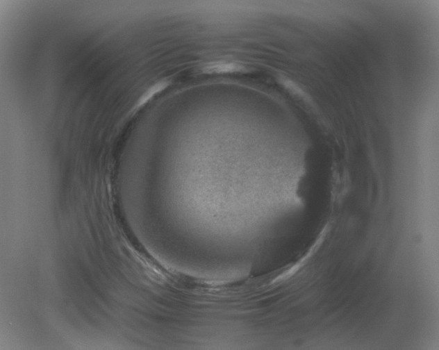 X0000082941305200702011255