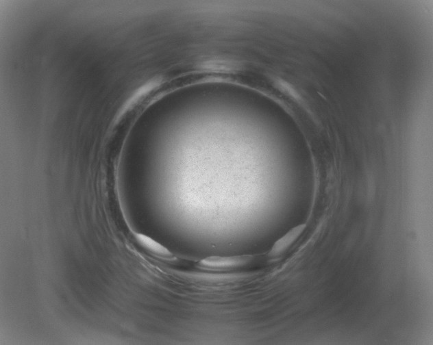X0000082941307200702011255
