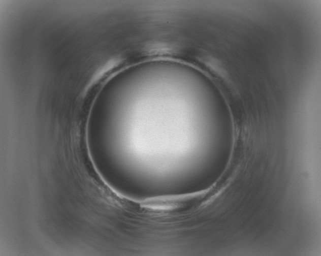 X0000082941309200702011255