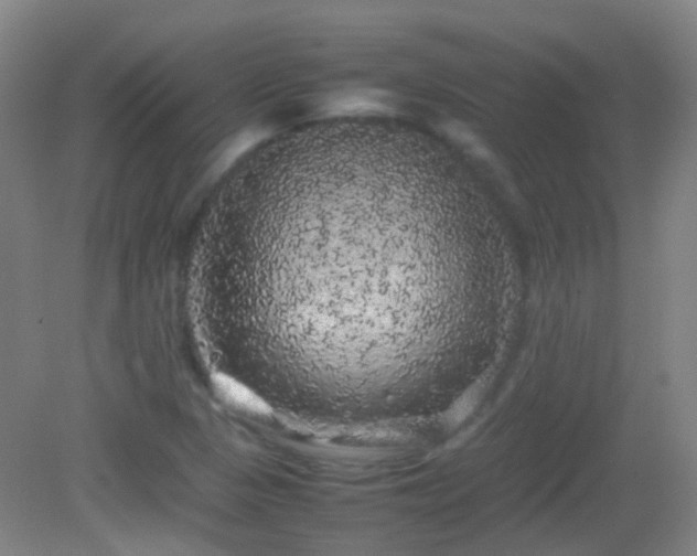 X0000082941313200702011255